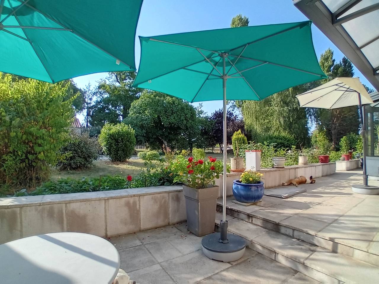 Luxurious equestrian property  Charente-Maritime