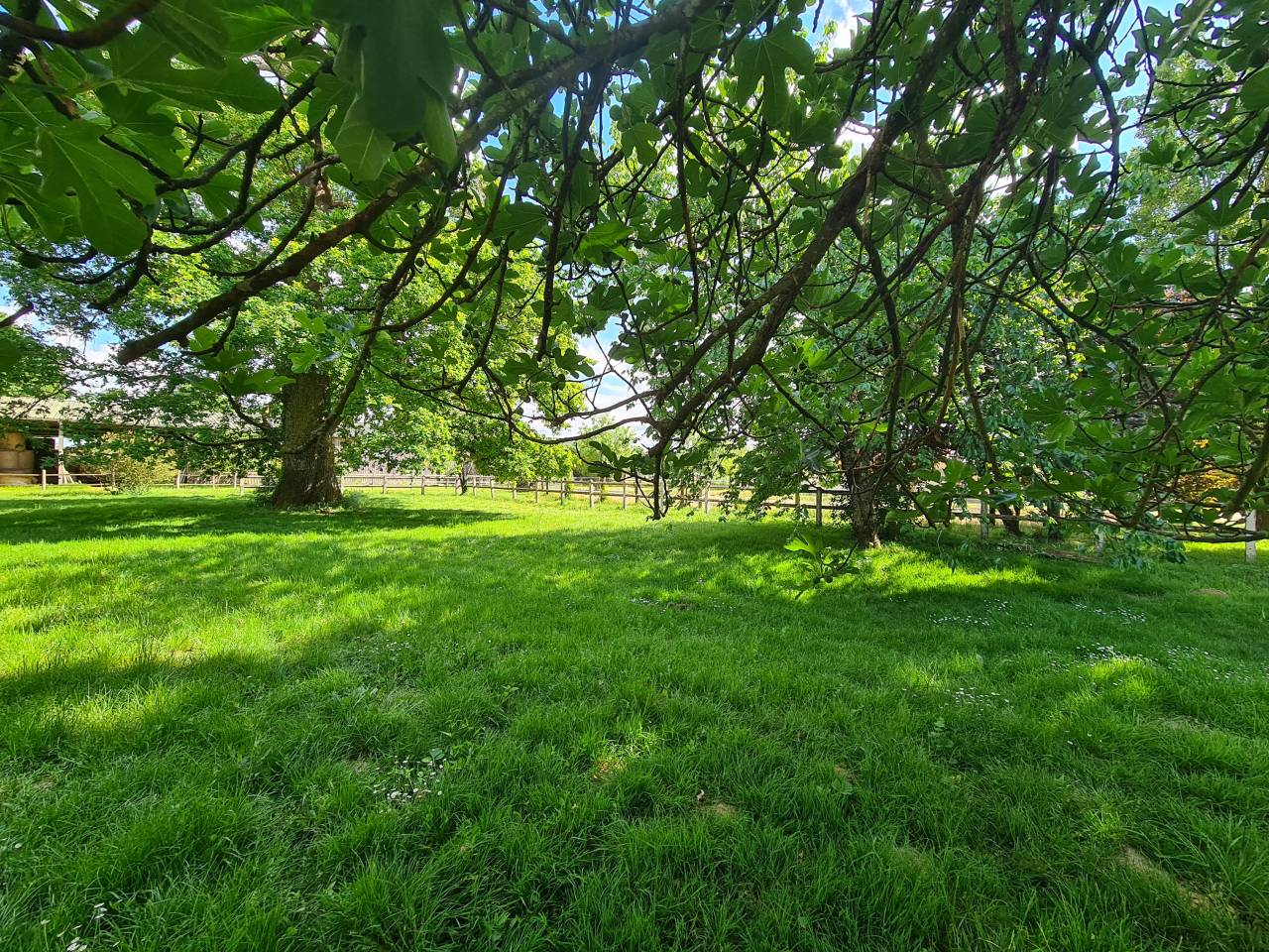 Luxurious equestrian property  Charente-Maritime