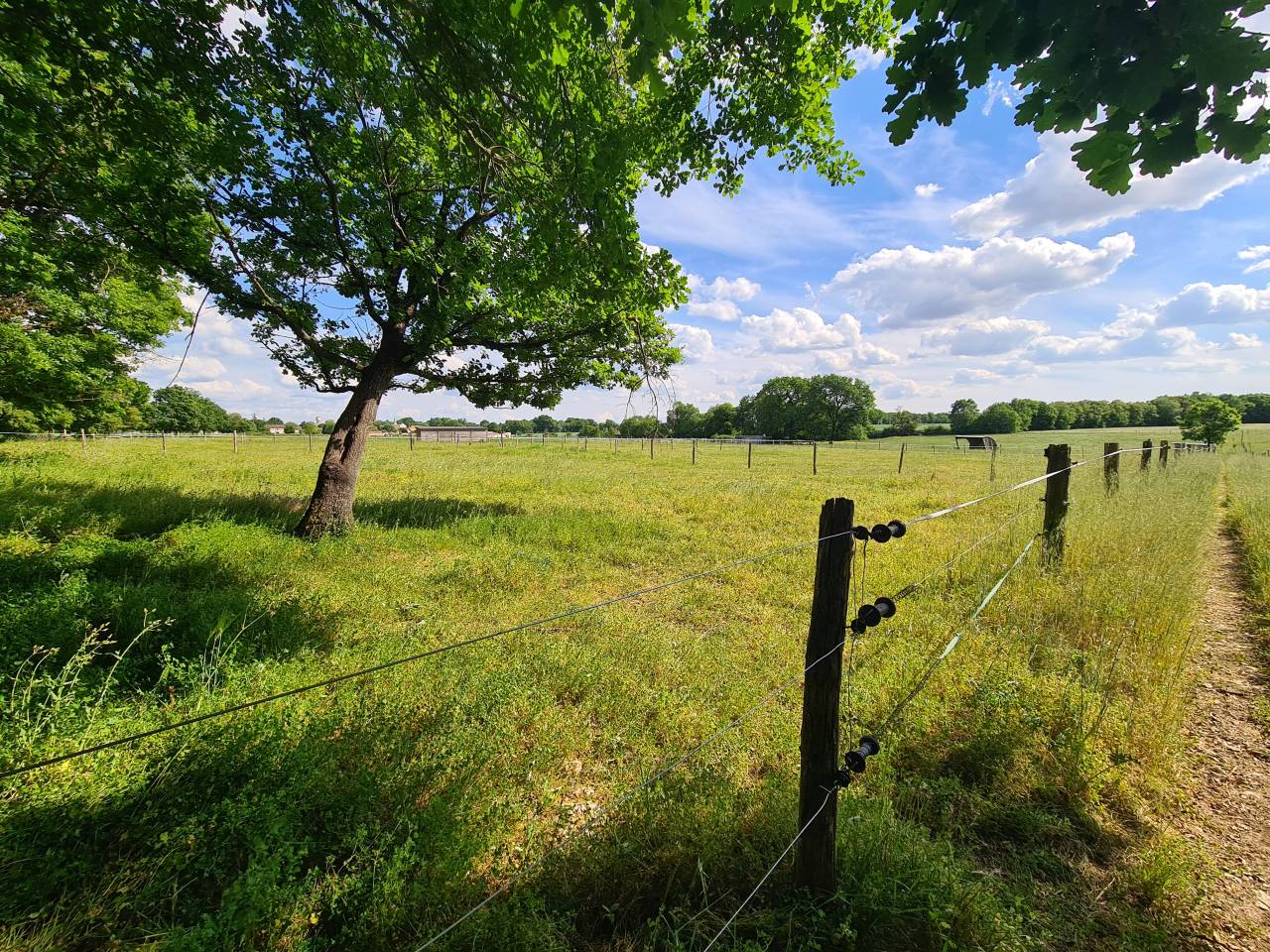 Luxurious equestrian property  Charente-Maritime