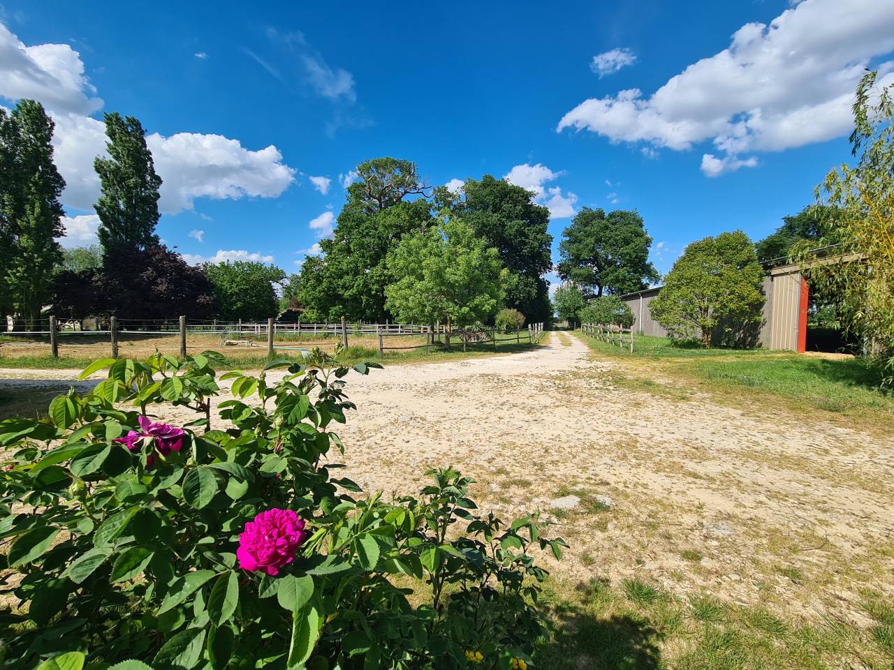 Luxurious equestrian property  Charente-Maritime