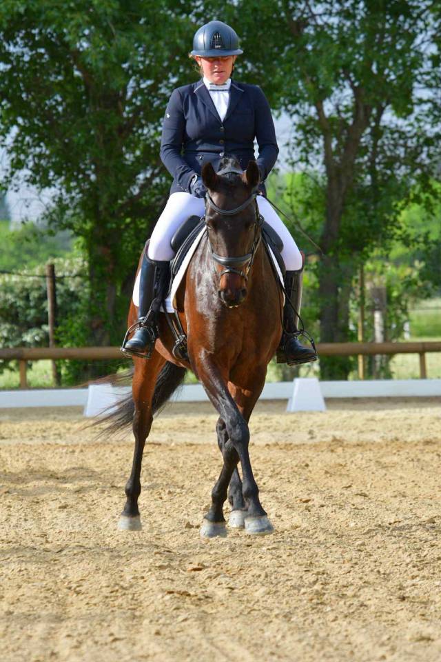 Mare Lusitano For sale 2019 Dark Bay