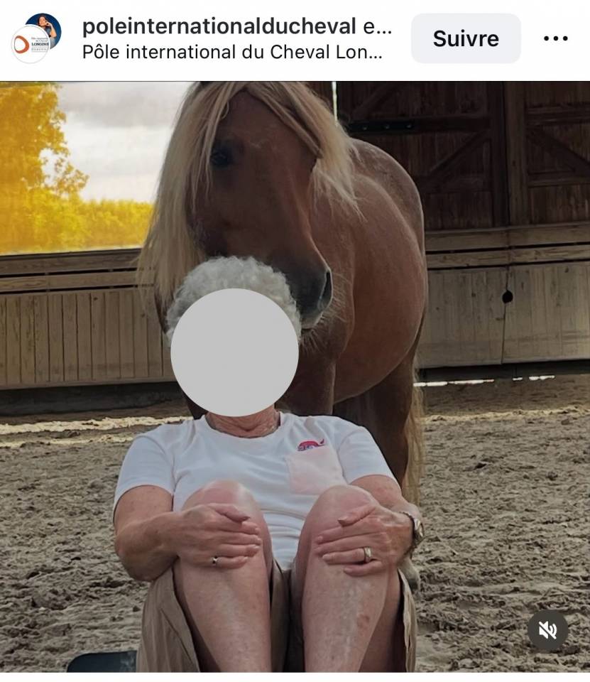 Gelding Shetland Pony For sale 2014 Silver dapple