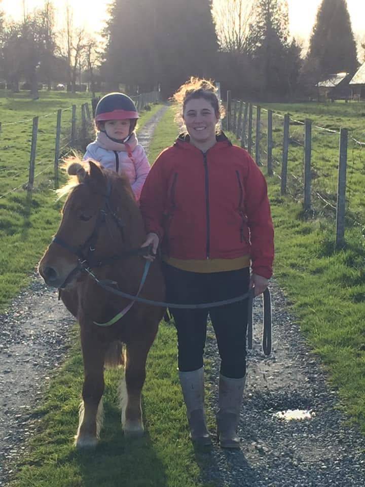 Gelding Shetland Pony For sale 2014 Silver dapple