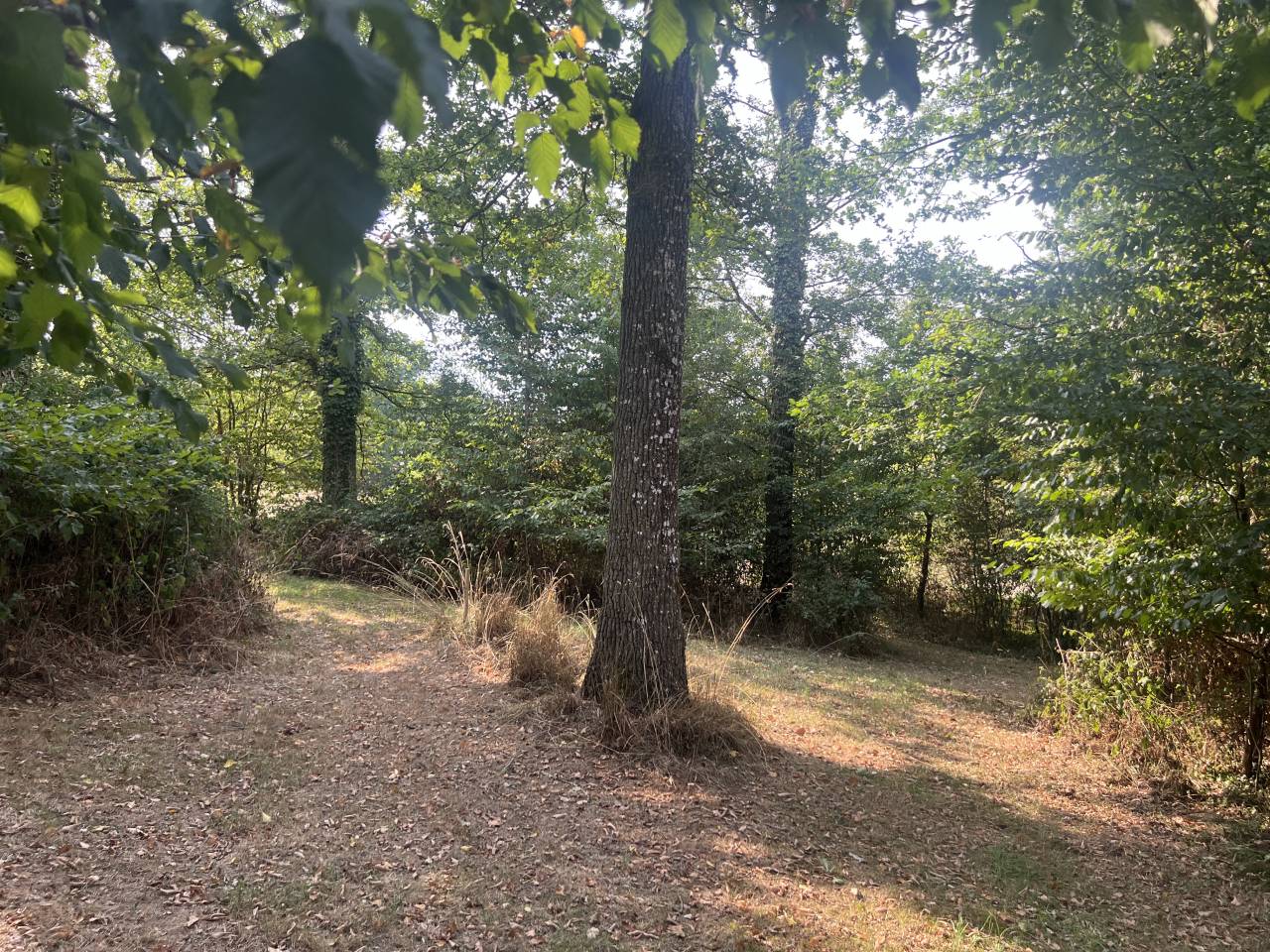 Other country property  Cher