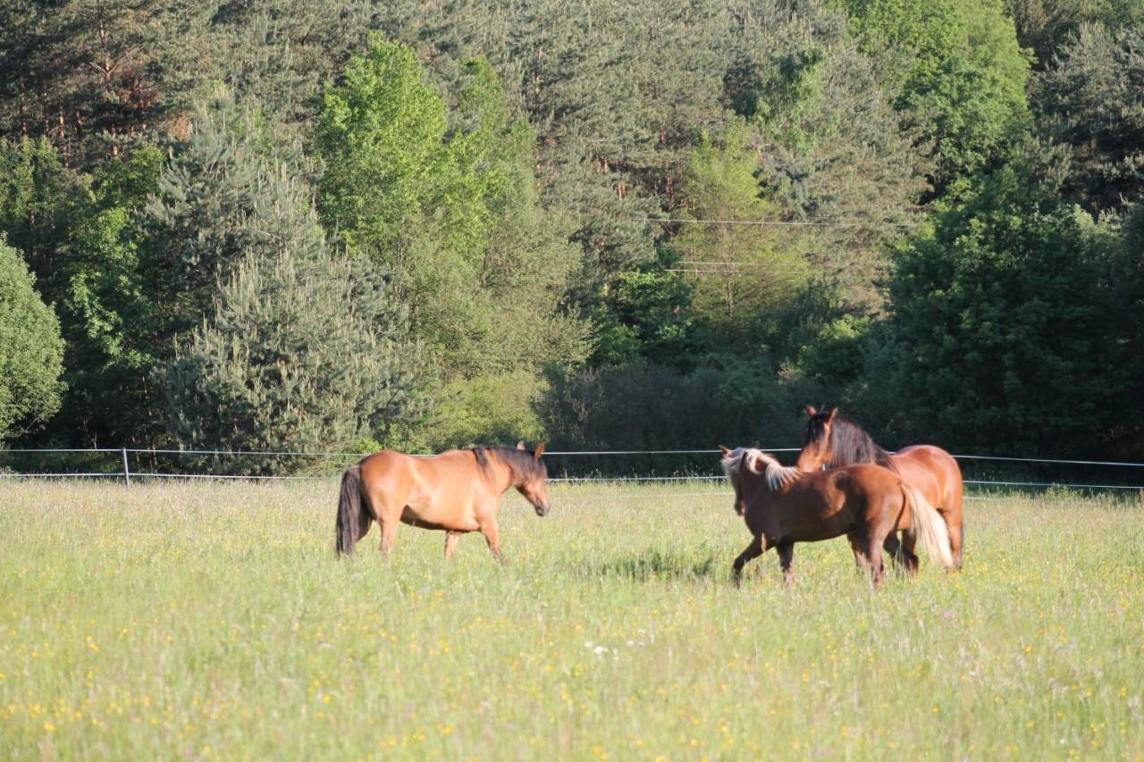 Large family home on a 78000 m² land 