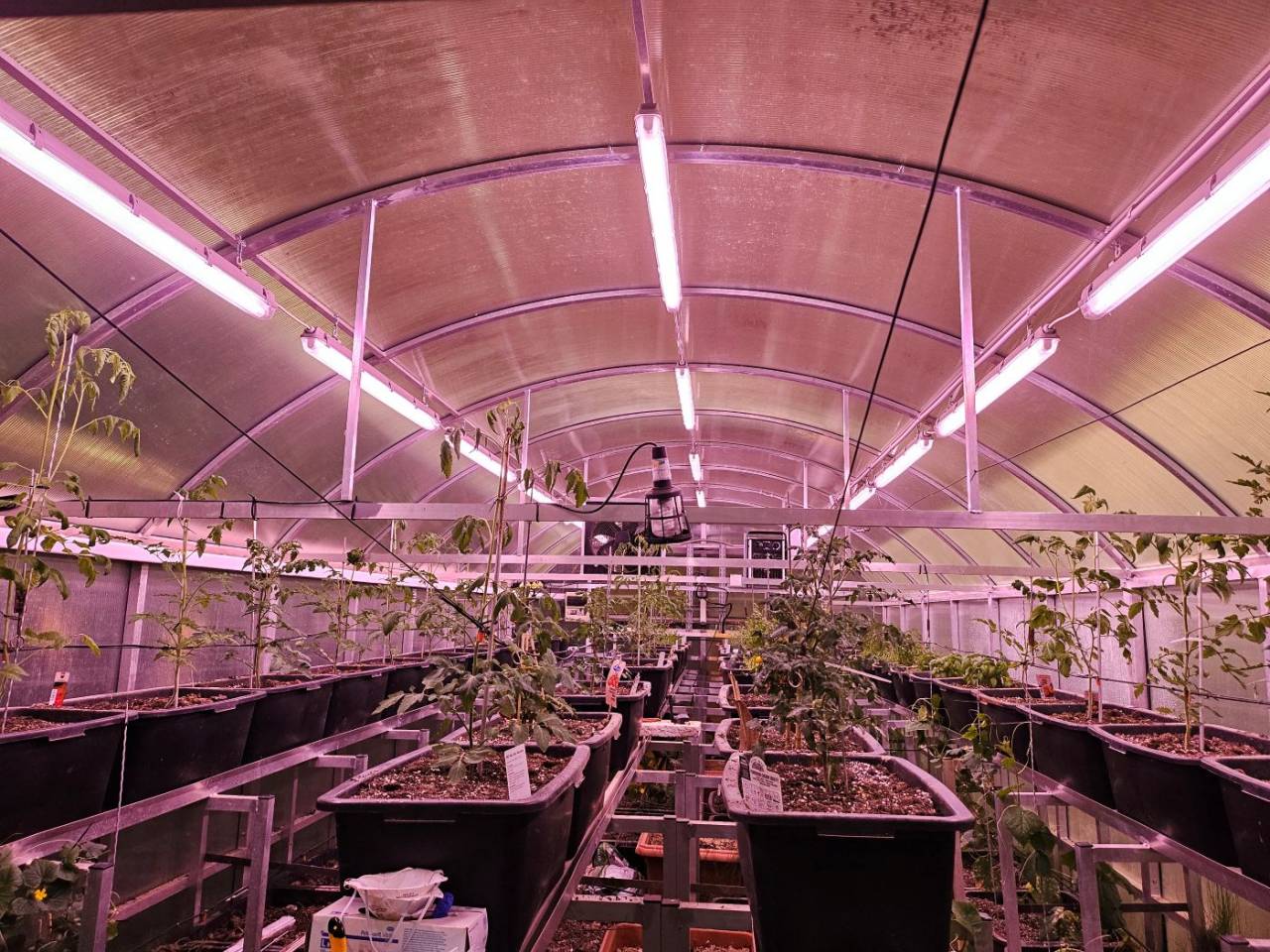 Large family home on a 78000 m² land 