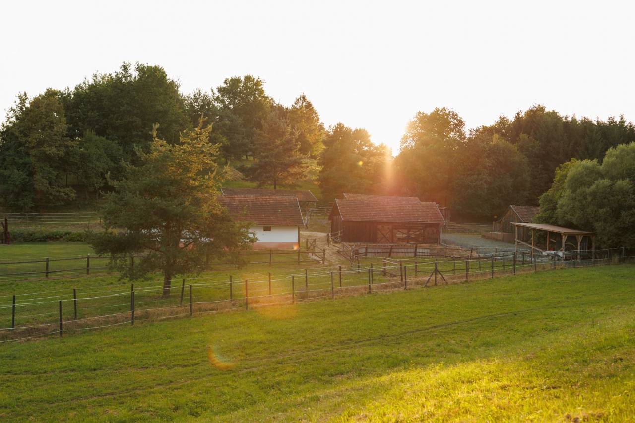 Large family home on a 78000 m² land 