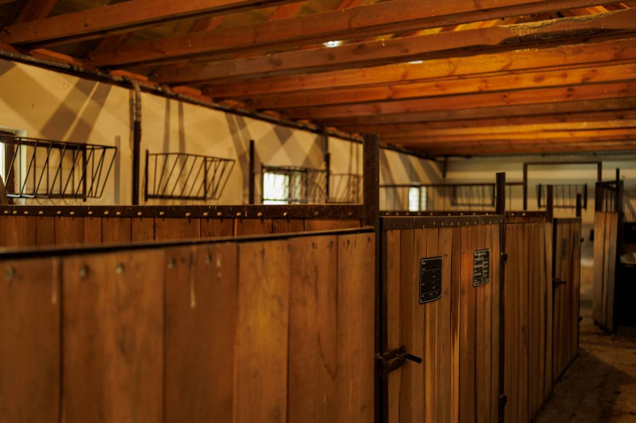 Large family home on a 78000 m² land 