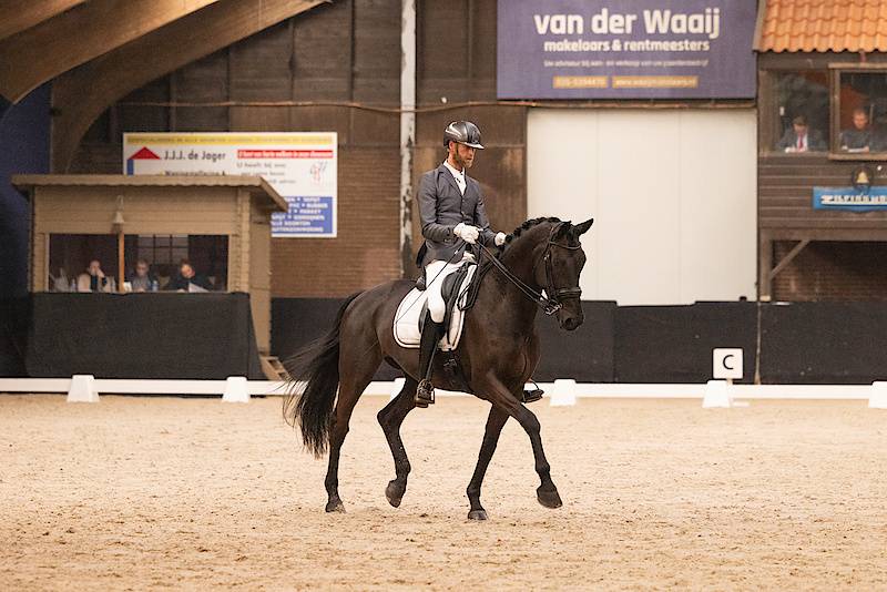 Mare KWPN Dutch Warmblood For sale 2014 Other color