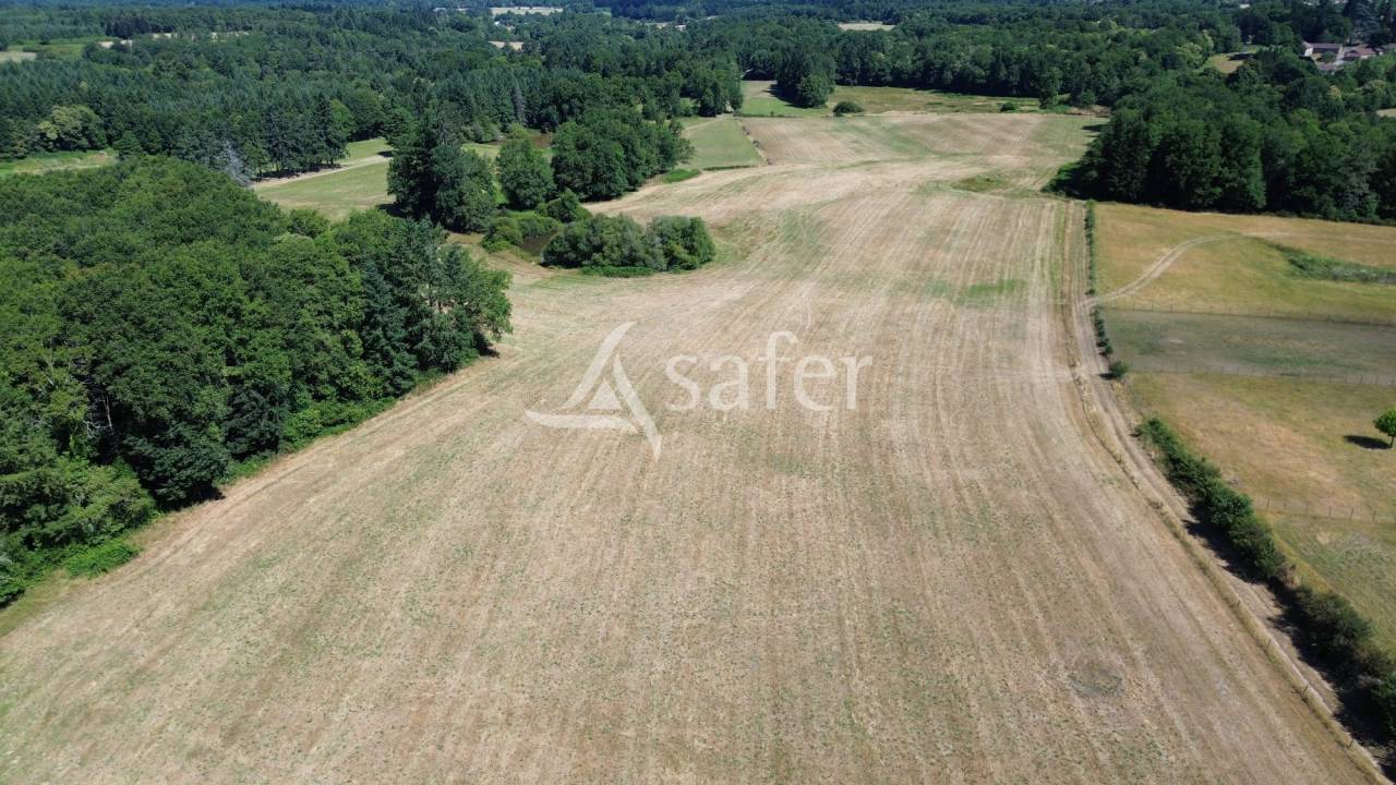 Sheep farm  Dordogne