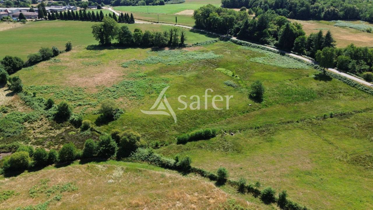 Sheep farm  Dordogne