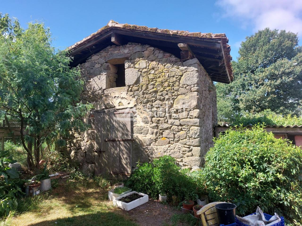 Sheep farm  Dordogne