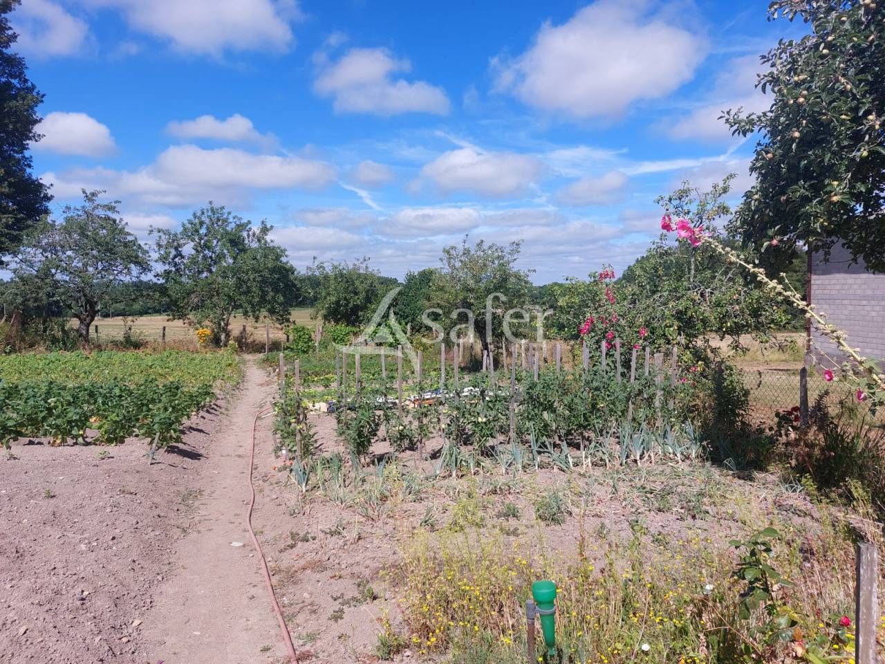 Sheep farm  Dordogne