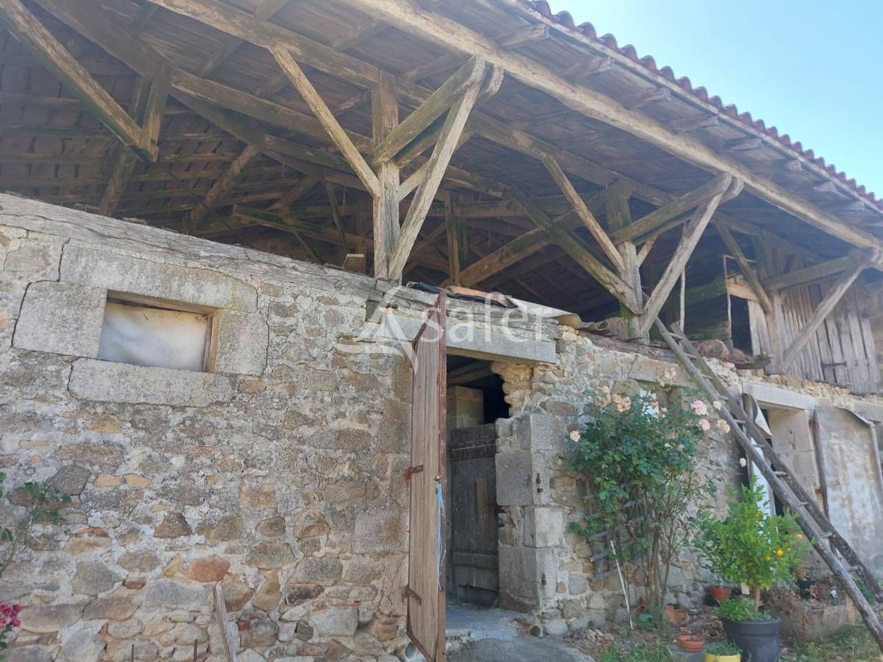 Sheep farm  Dordogne