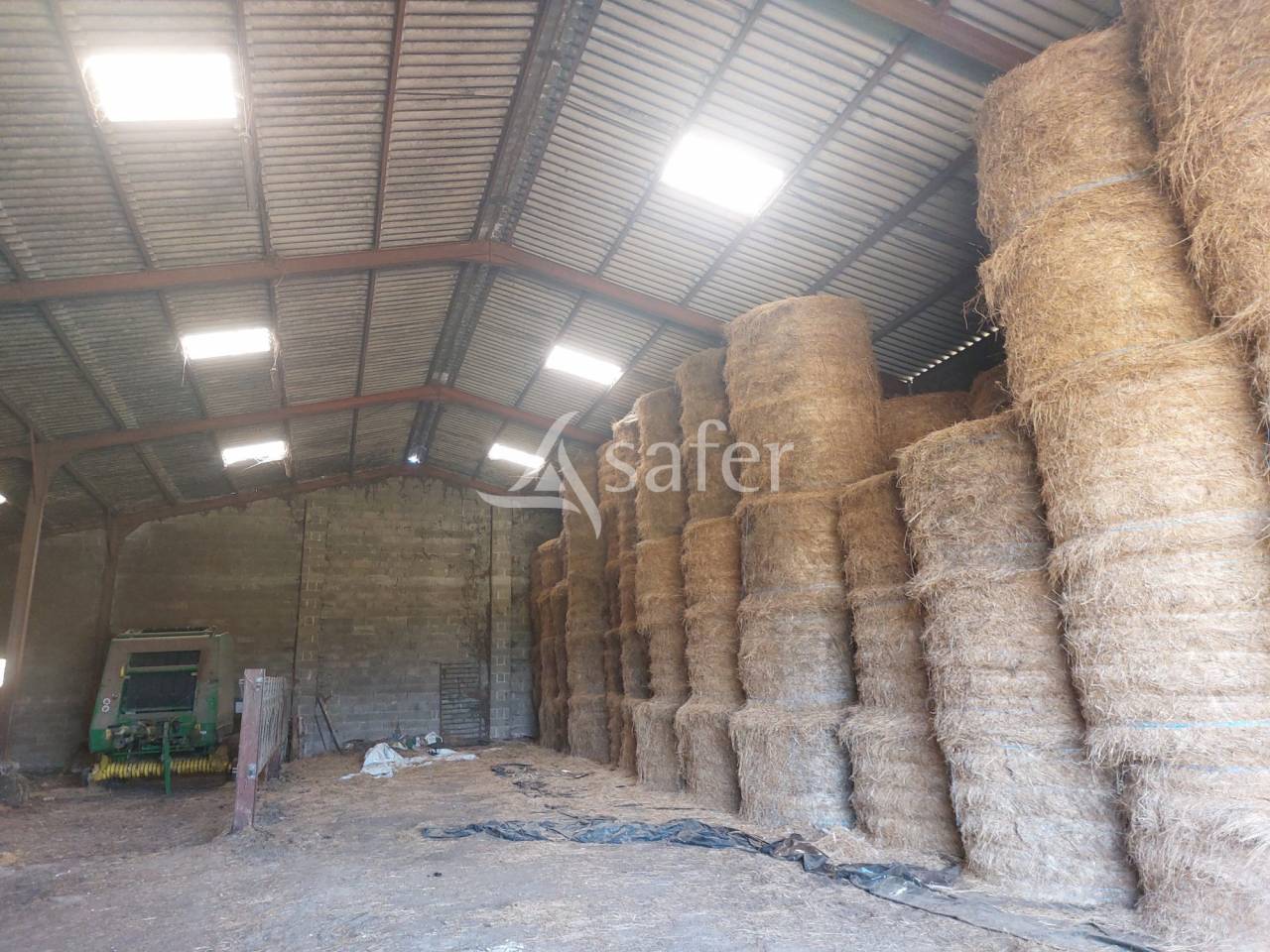 Sheep farm  Dordogne