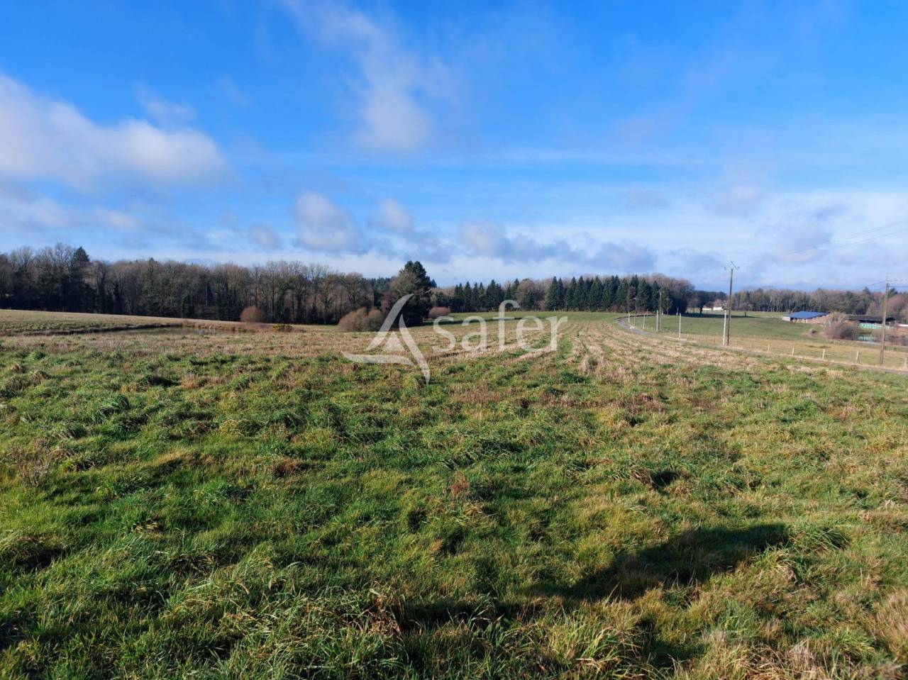 Sheep farm  Dordogne