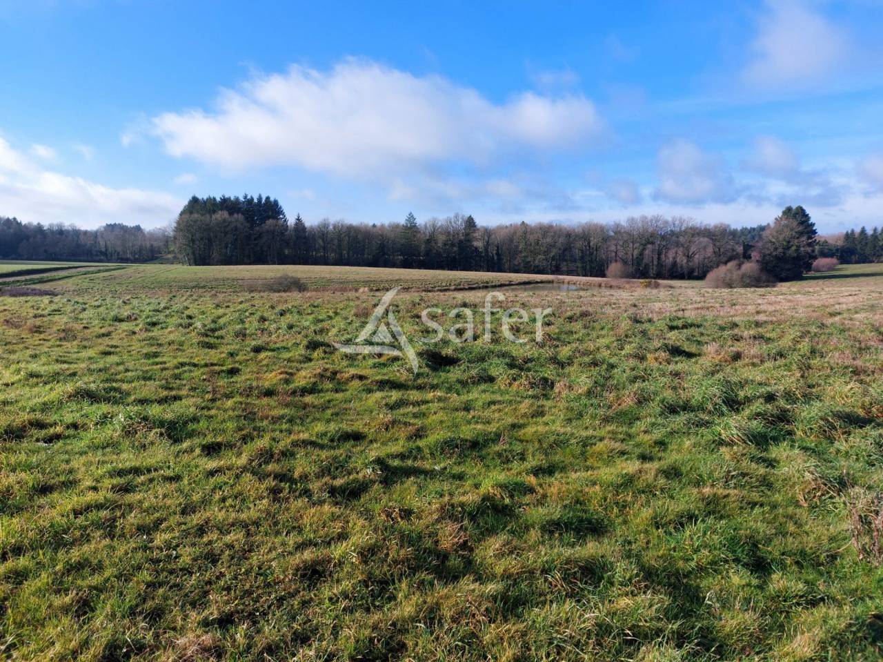 Sheep farm  Dordogne