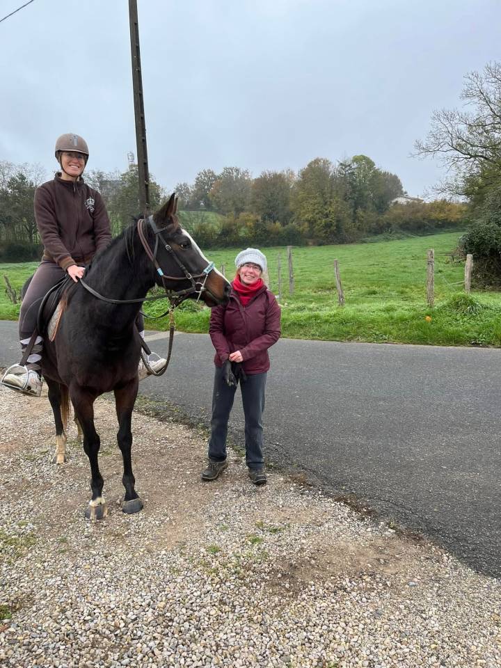 Mare Thoroughbred For sale 2021 Dark Bay