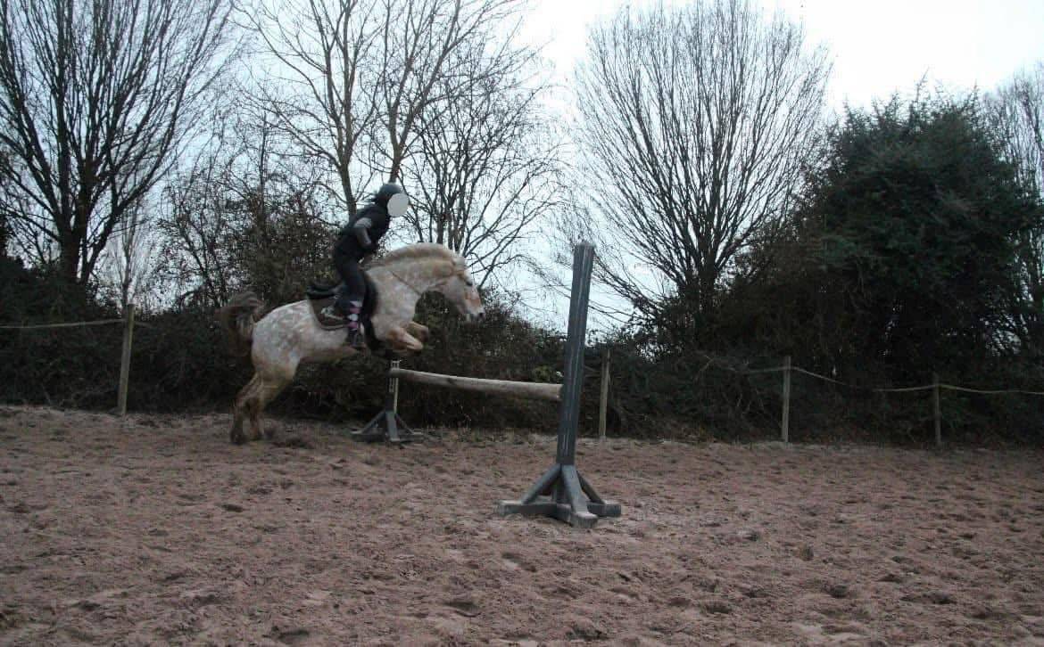 Mare Fjord Part-Livery 2010 Other color