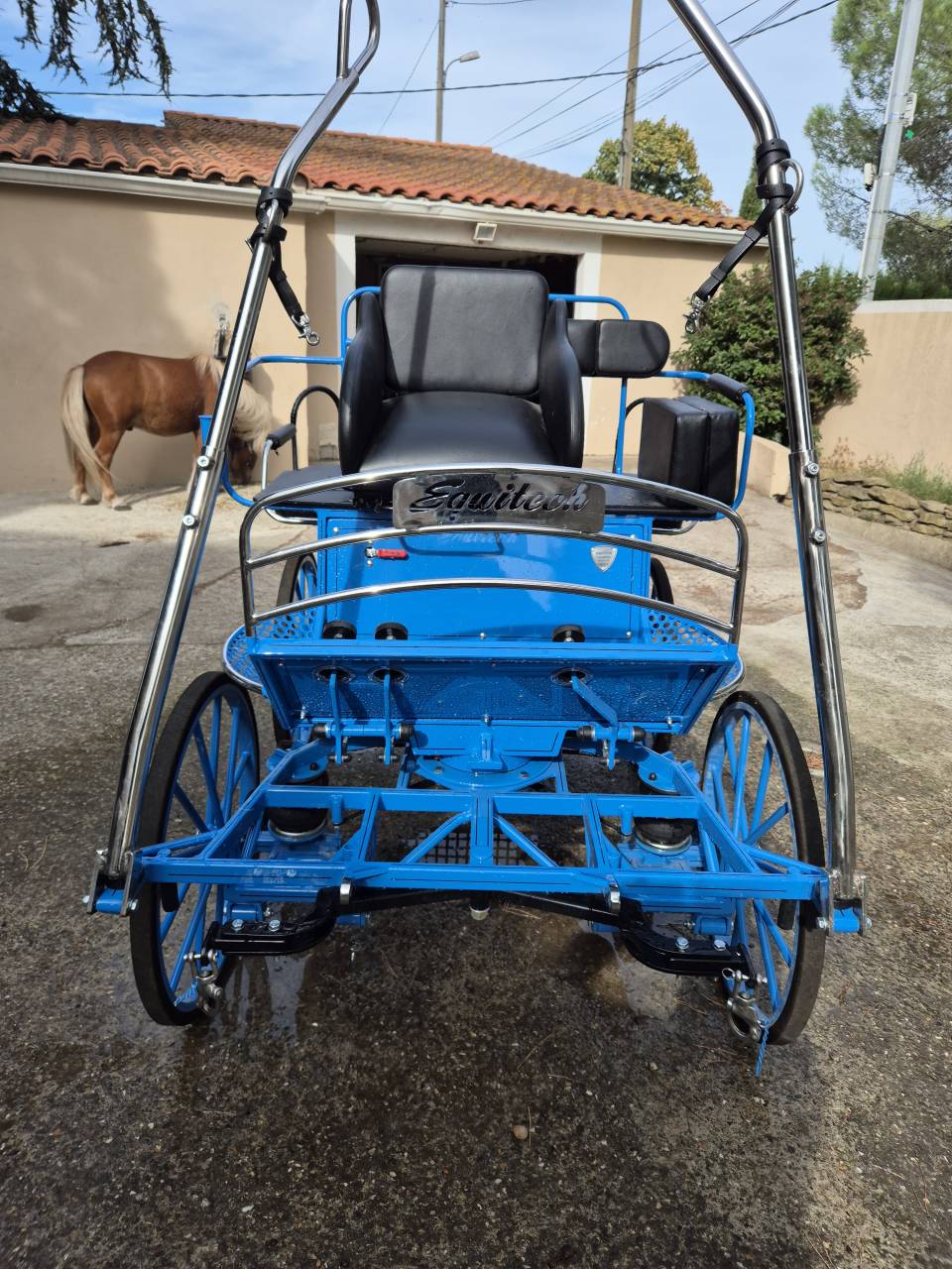 Carriage - Marathon for leisure  EQUITECH XL 