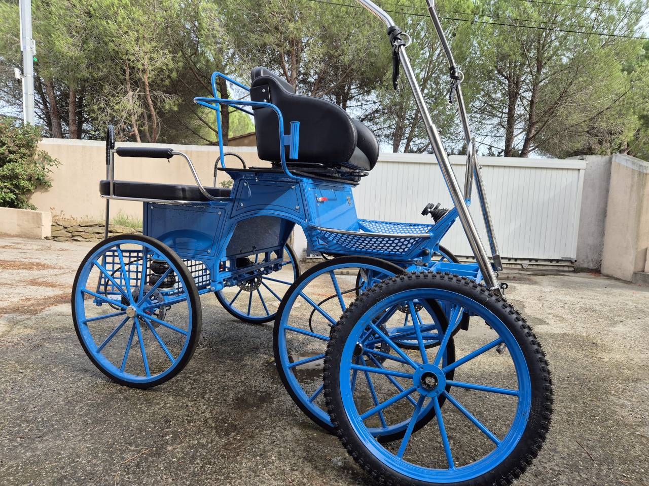 Carriage - Marathon for leisure  EQUITECH XL 