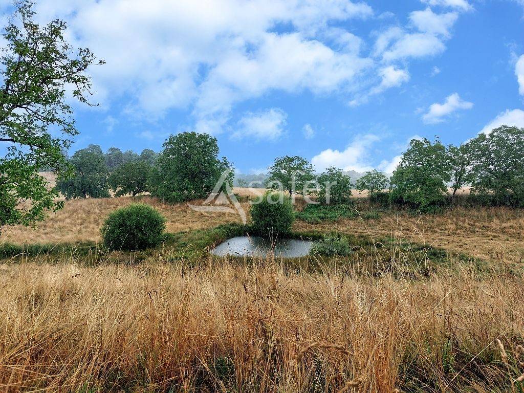 Other agricultural property  Corrèze