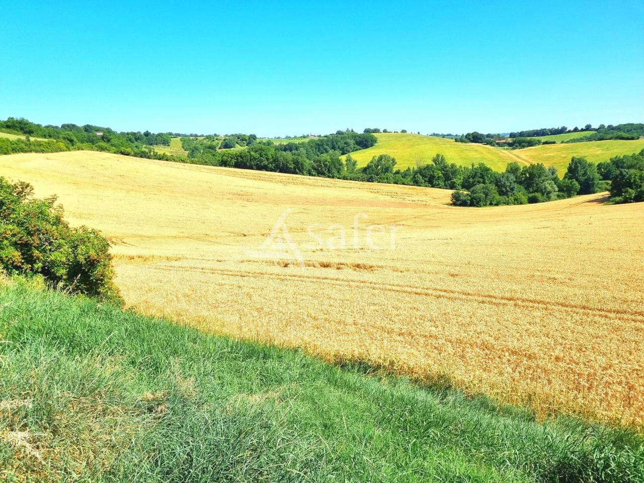 Other agricultural property  Tarn-et-Taronne