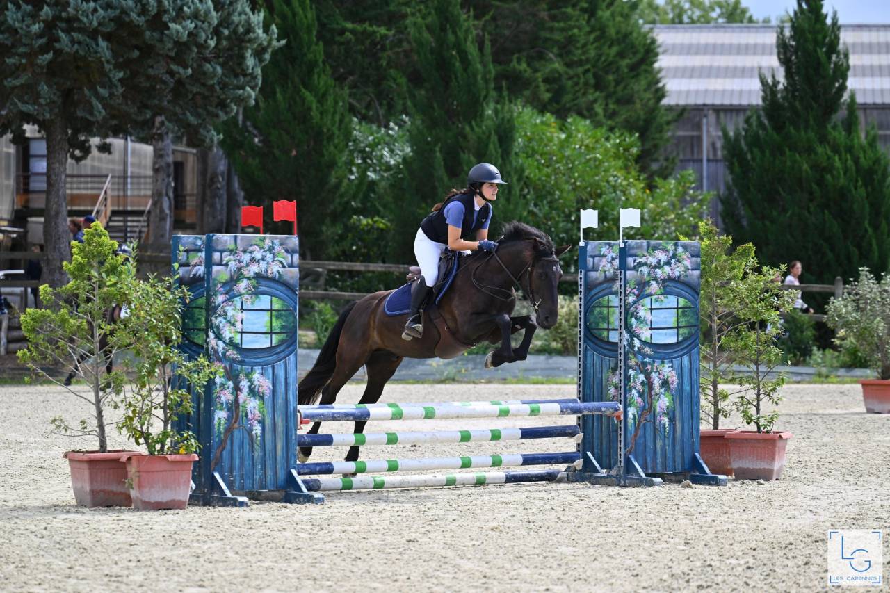 Gelding French Saddle Pony For sale 2019 Black