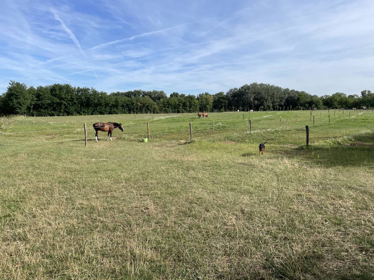 Riding school  Is&egrave;re