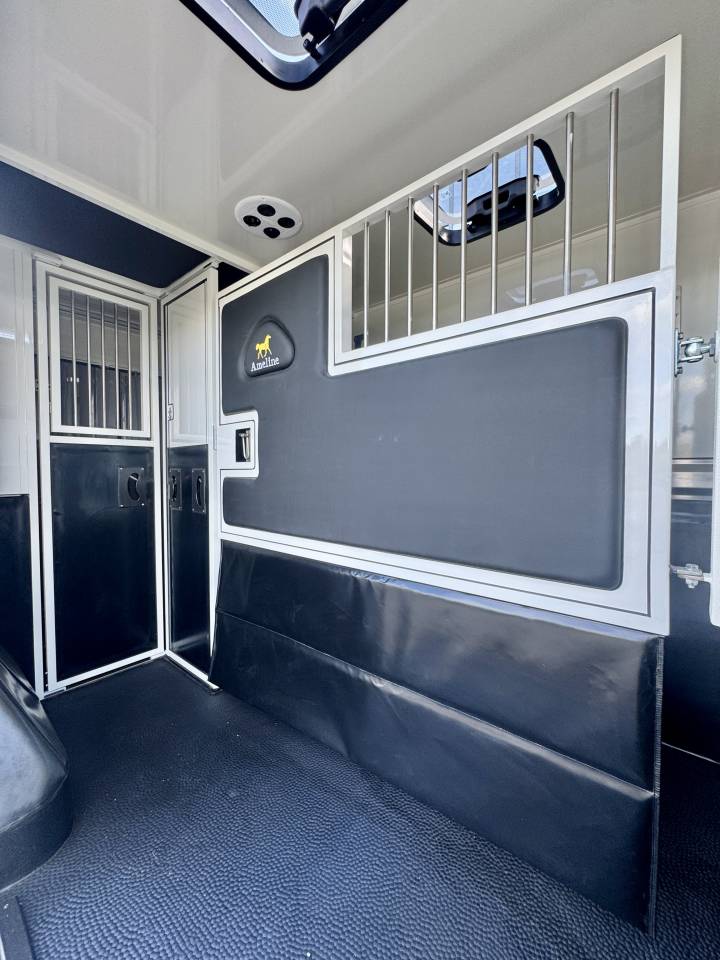 Horsebox HGV Ameline RENAULT MASTER  2025 New