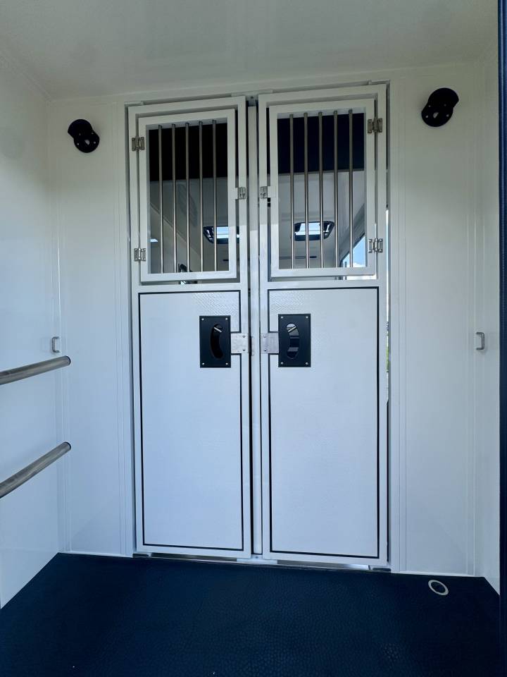 Horsebox HGV Ameline RENAULT MASTER  2025 New