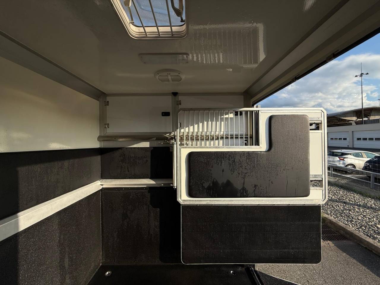 Horsebox HGV STX STX 2021 Used