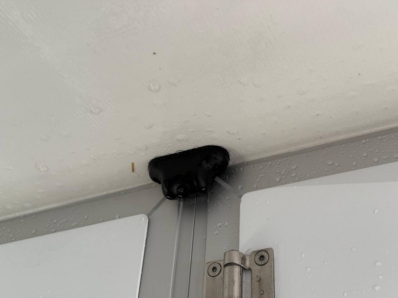 Horsebox HGV STX STX 2021 Used