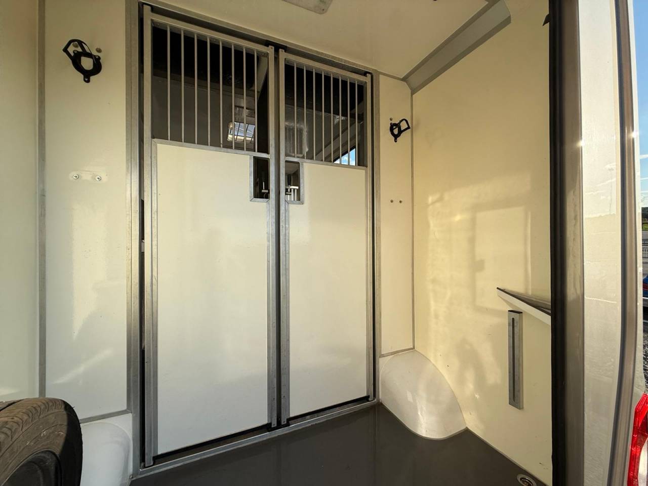 Horsebox HGV STX STX 2021 Used