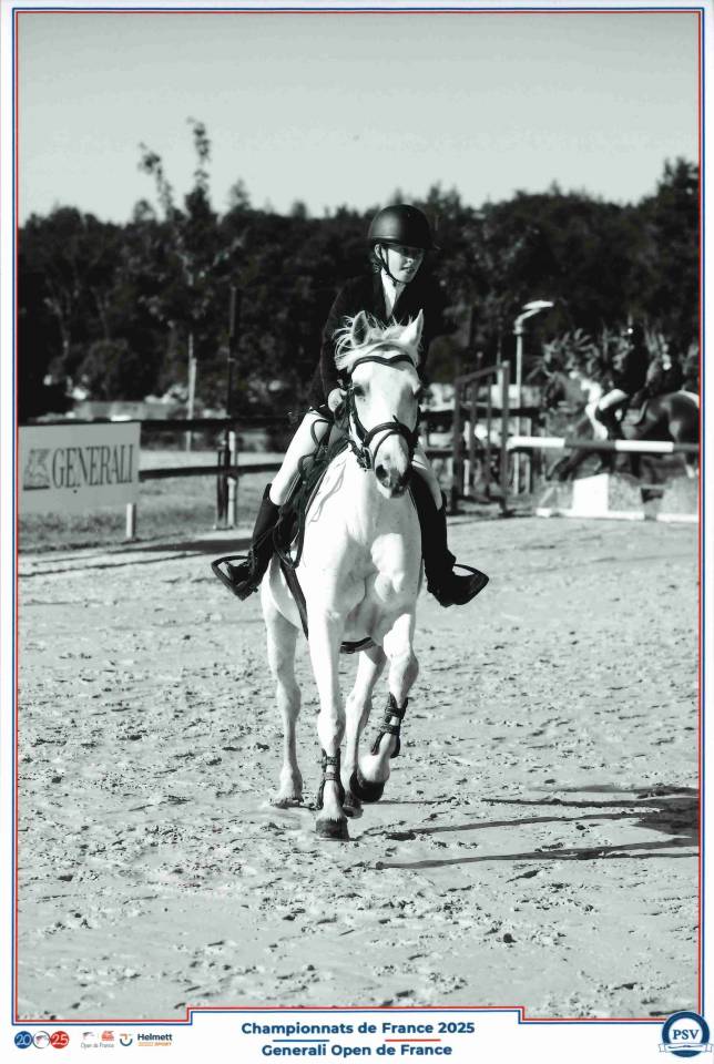 Gelding Origin Recorded For sale 2011 Grey