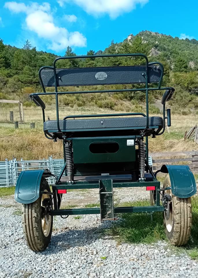 Carriage - Sulky - Other brand - KUTZMANN 