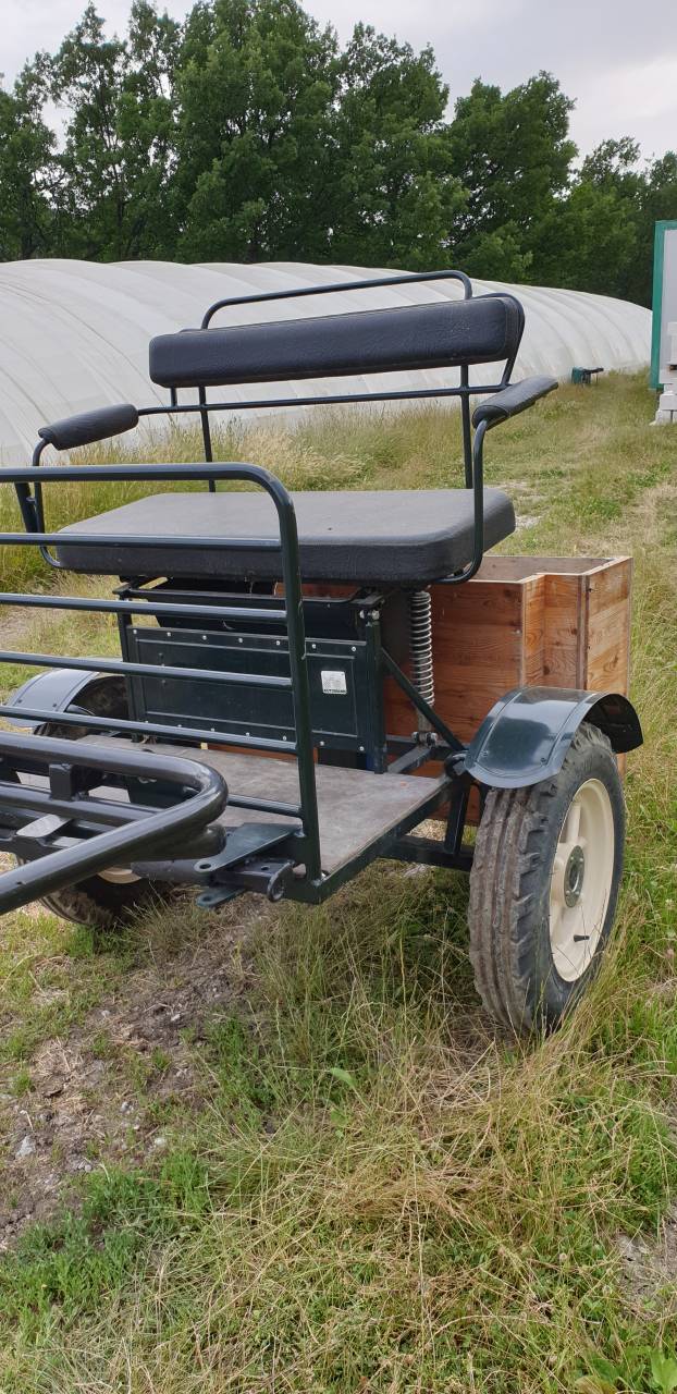 Carriage - Sulky - Other brand - KUTZMANN 