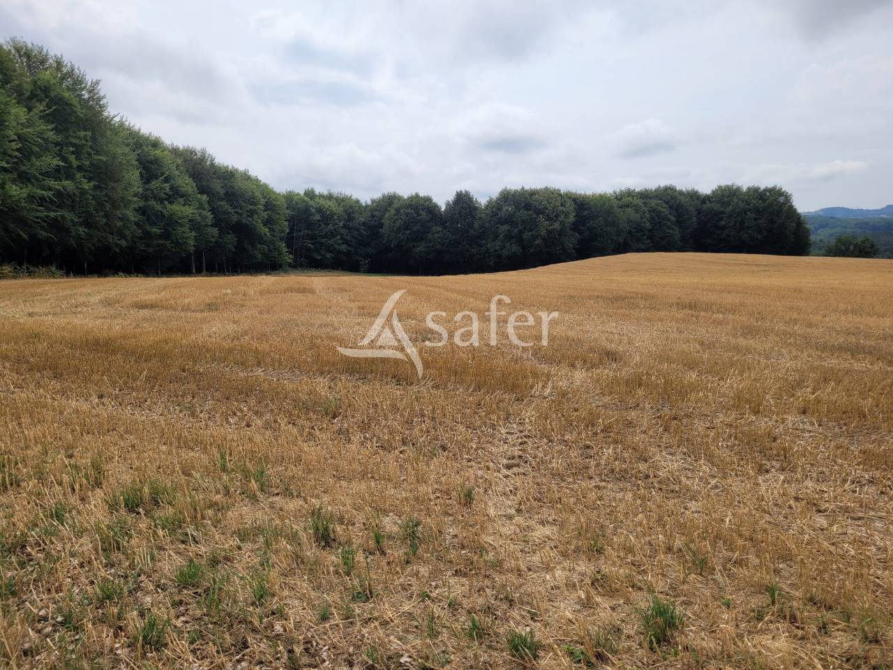 Other agricultural property  Cantal