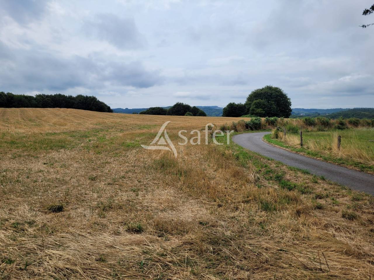 Other agricultural property  Cantal