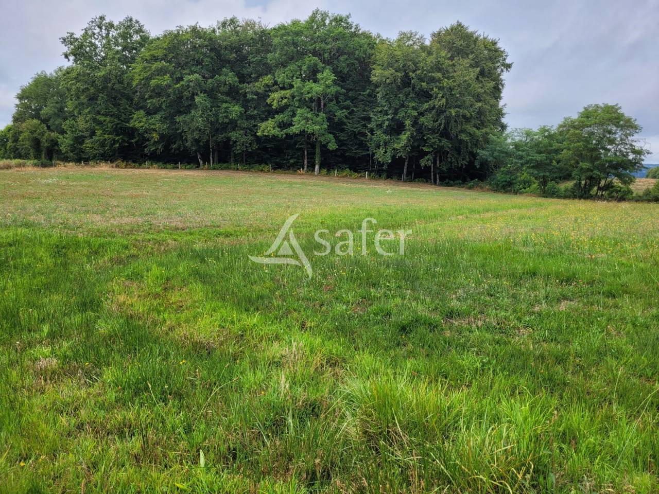 Other agricultural property  Cantal