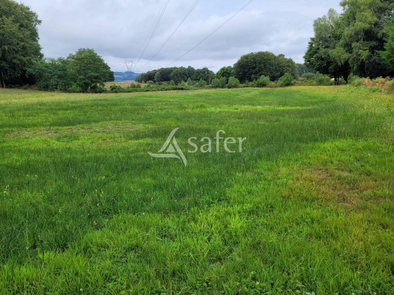 Other agricultural property  Cantal