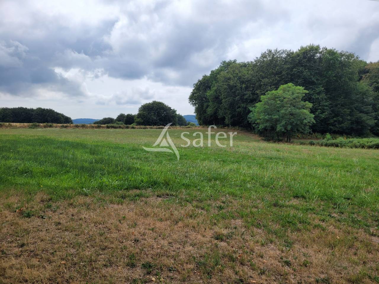 Other agricultural property  Cantal