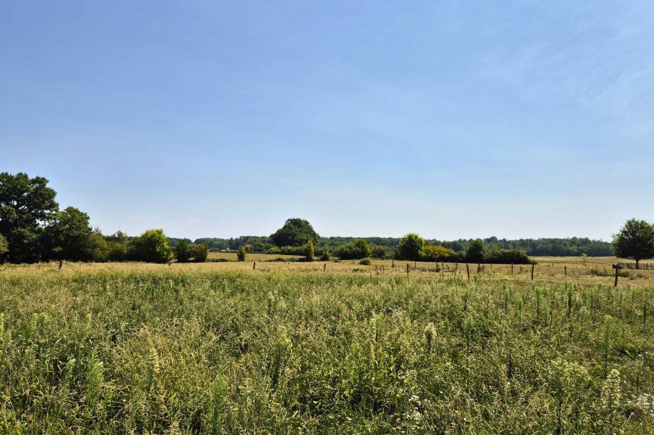 Equestrian property  Saône-et-Loire