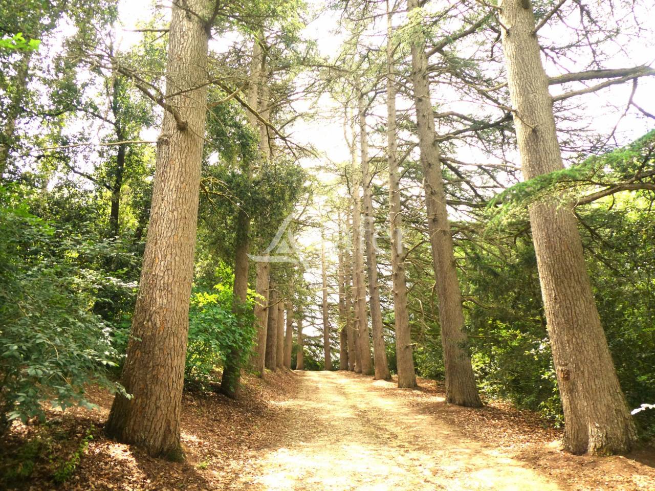 Other country property  Gers