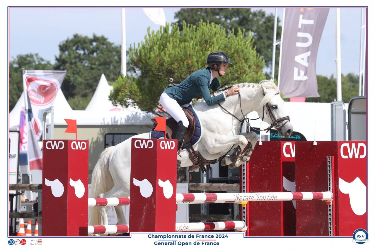 Entire Connemara For sale 2017 Grey