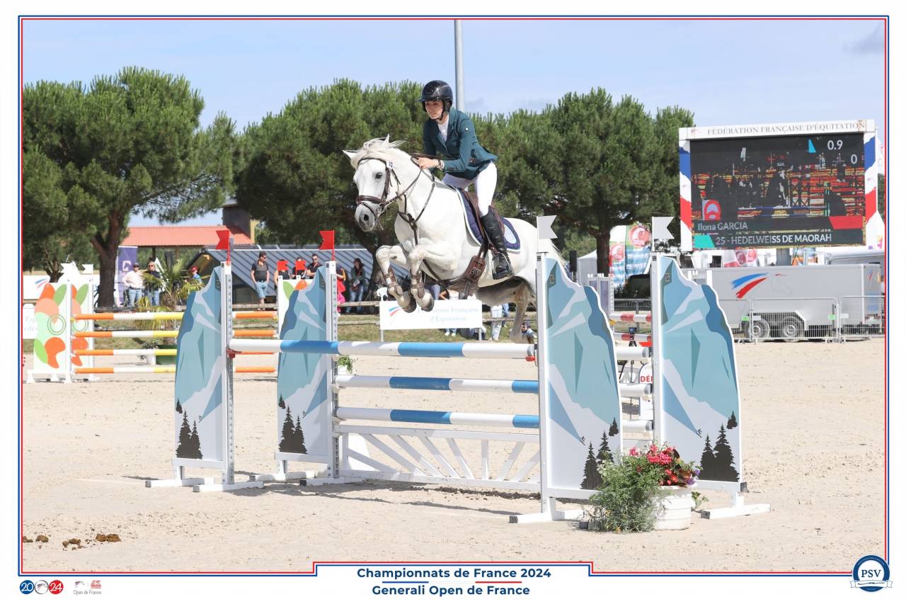 Entire Connemara For sale 2017 Grey