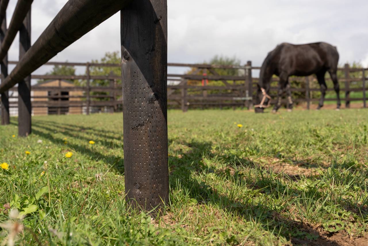 LCI-Cheval | Equestrian facilities > Horse fencing