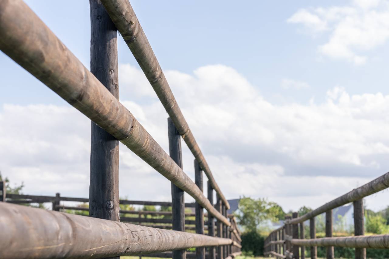 LCI-Cheval | Equestrian facilities > Horse fencing