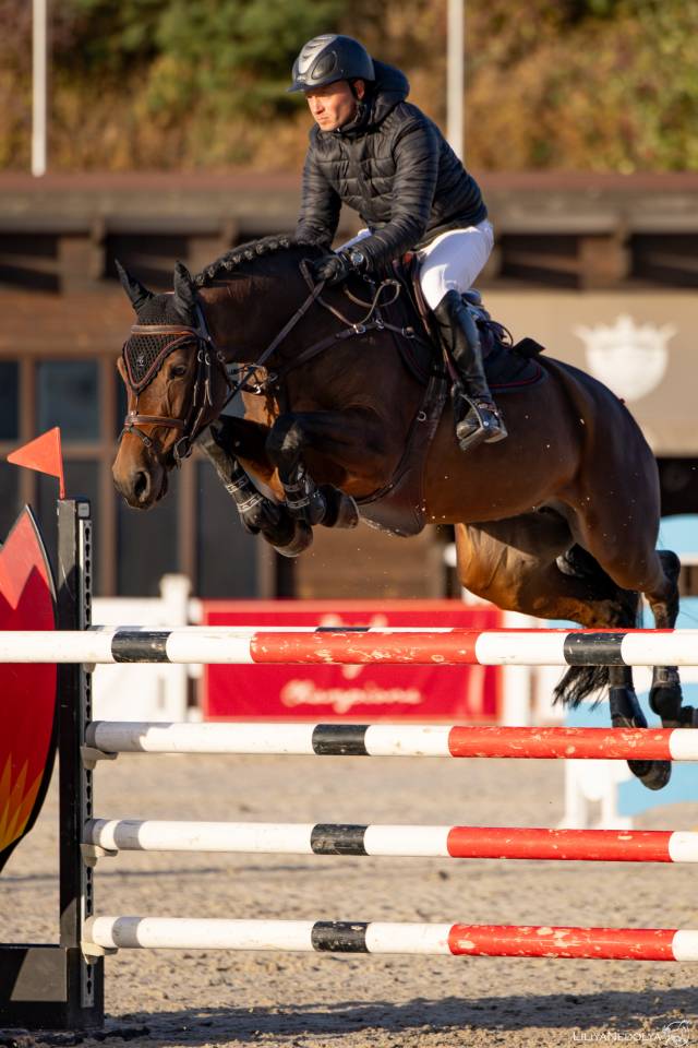 For sale showjumping mare 130 level classes 