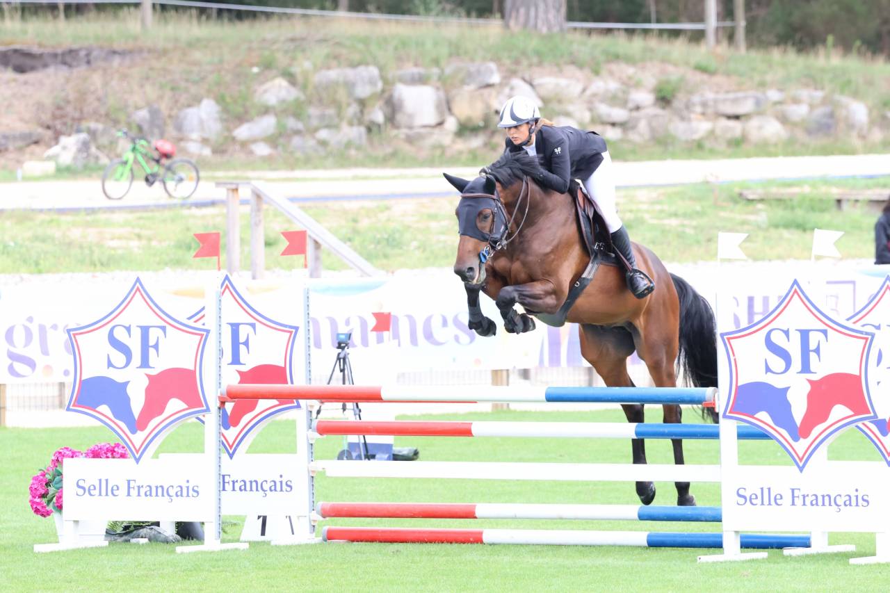 Top 6-year-old gelding for sale